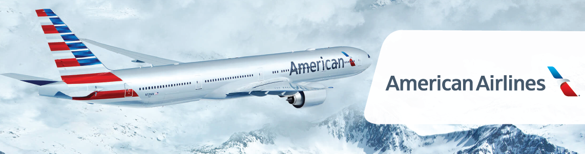 <p><strong>AMERICAN AIRLINES</strong></p>
